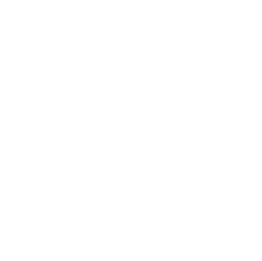logo12 1