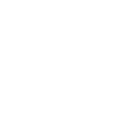 logo9 1